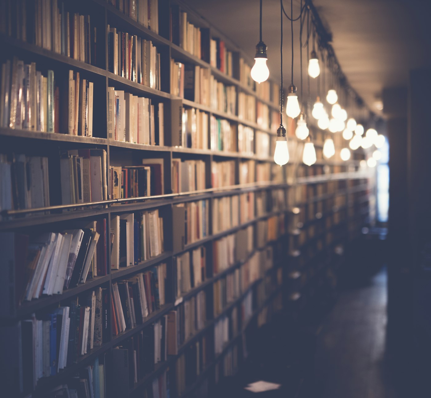 Rows of books on library shelves